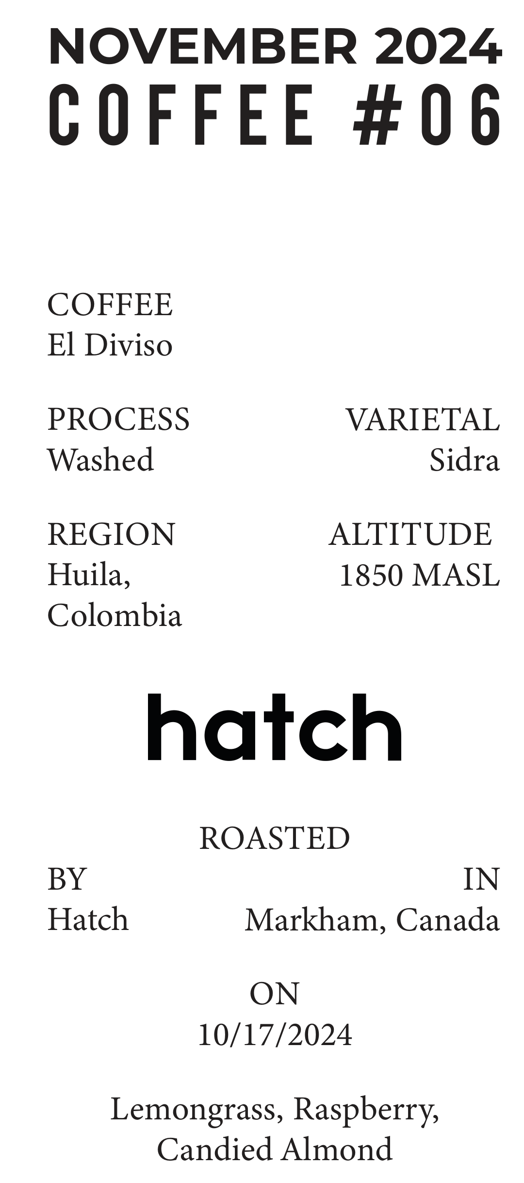 Volume 1, November 2024 — Hatch (Markham, Canada): El Diviso — feature #06
