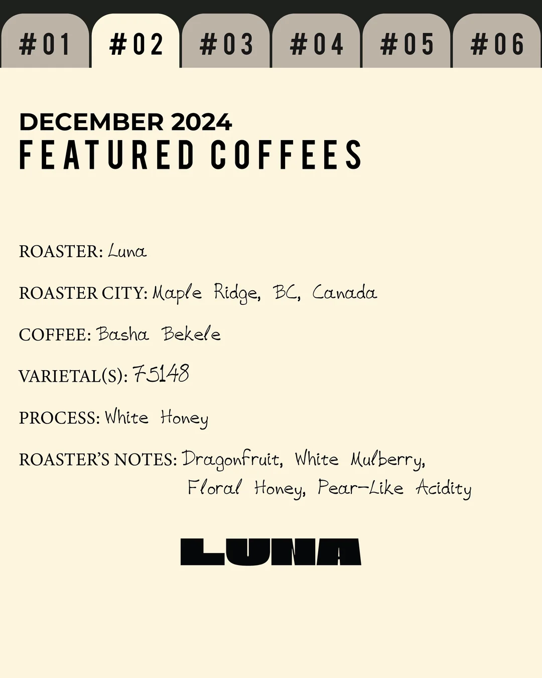 Volume 2, December 2024 — Luna (Maple Ridge, BC, Canada): Basha Bekele — feature #02