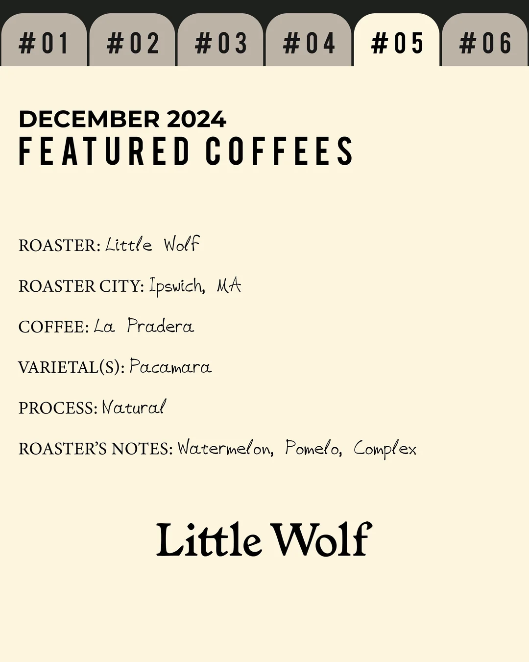 Volume 2, December 2024 — Little Wolf (Ipswich, MA): La Pradera — feature #05