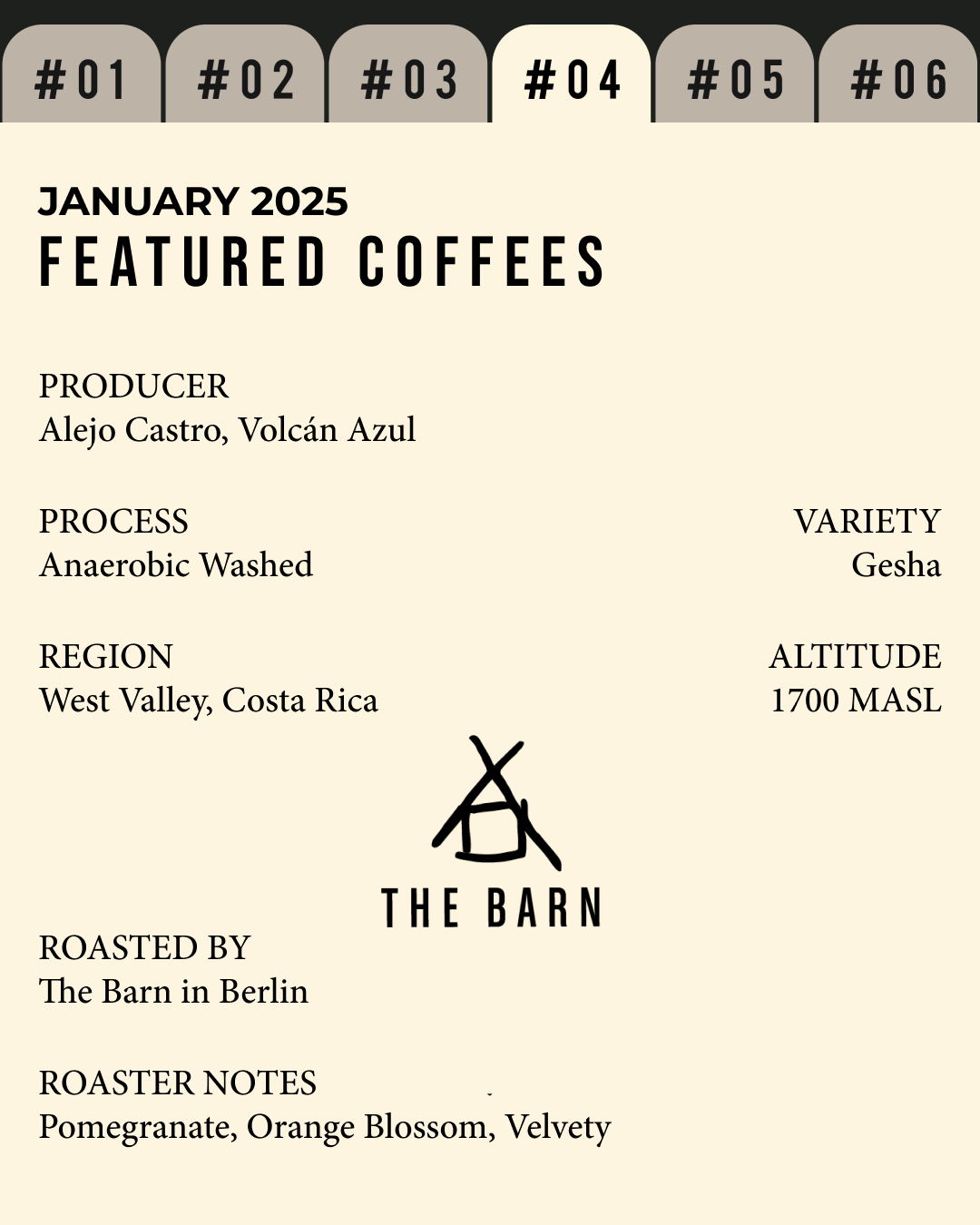 Volume 3, January 2025 — The Barn (Berlin): Volcan Azul Gesha — feature #04
