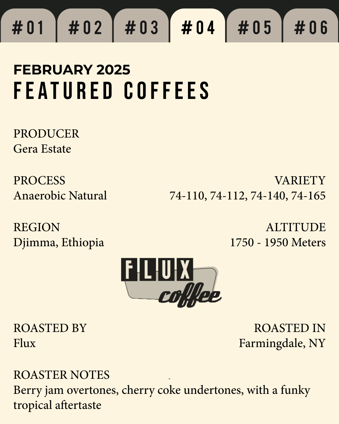Volume 4, February 2025 — Flux (Farmingdale, NY): Gera Estate — feature #04