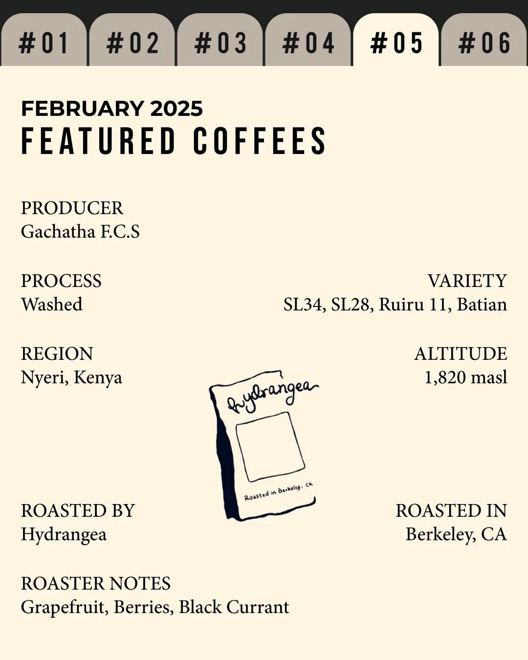 Volume 4, February 2025 — Hydrangea (Berkeley, CA): Gachatha F.C.S — feature #05