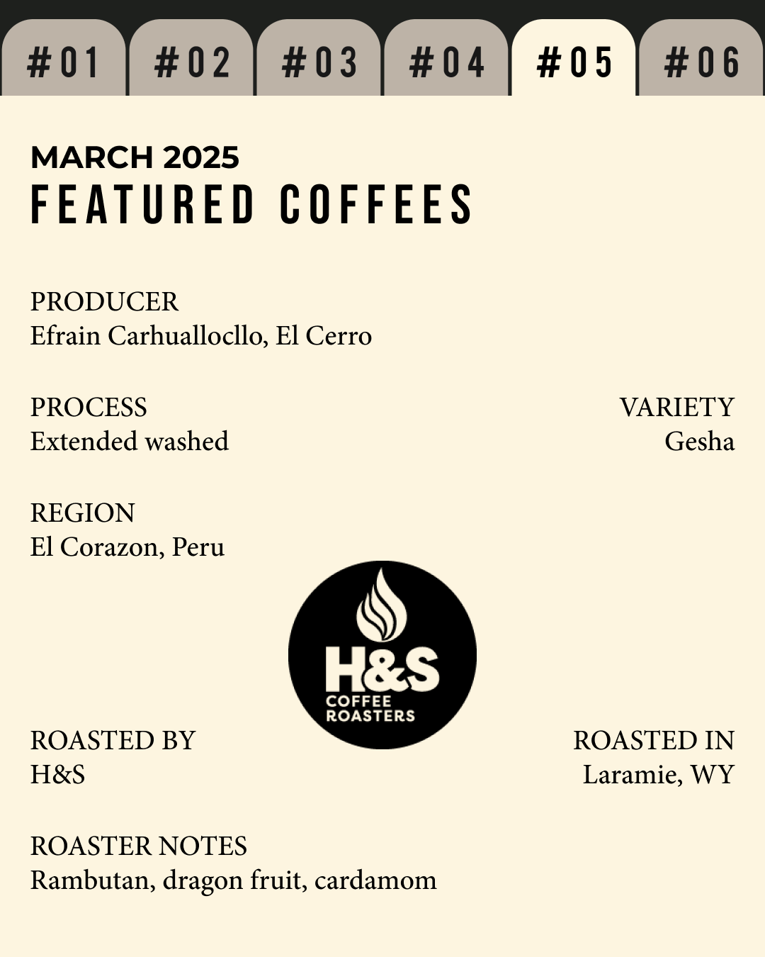 Volume 5, March 2025 — H&S (Laramie, WY): Efrain Carhuallocllo, El Cerro — feature #05