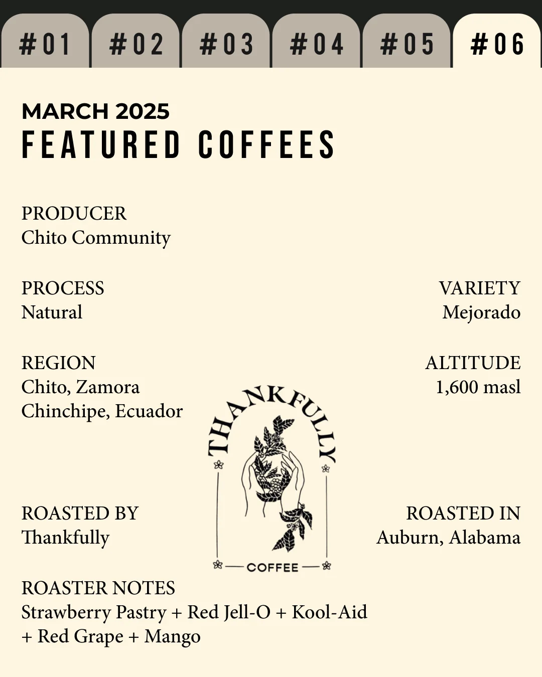Volume 5, March 2025 — Thankfully (Auburn, AL): Chito Community — feature #06