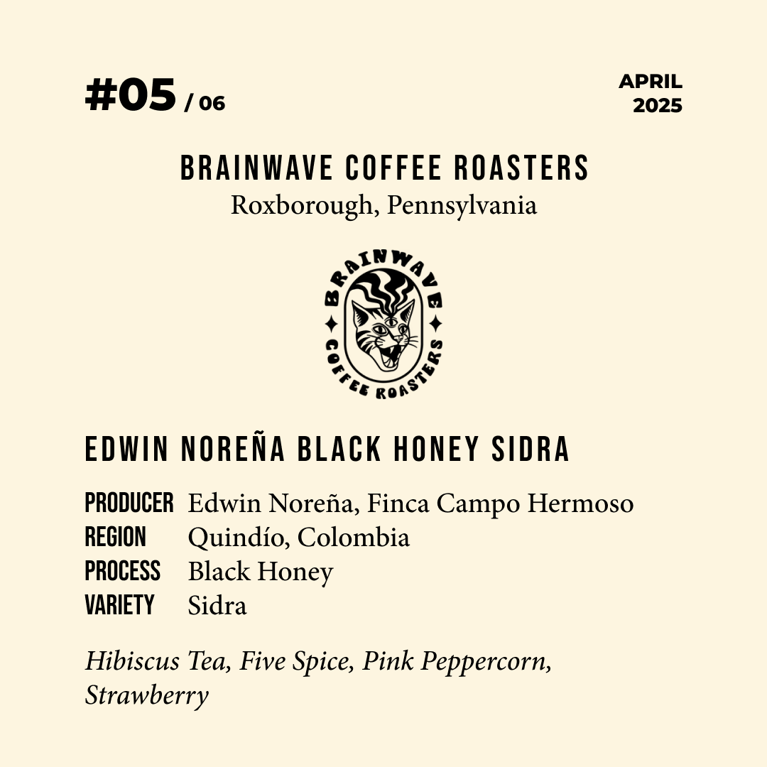 Volume 6, April 2025 — Brainwave Coffee Roasters (Roxborough, Pennsylvania): Edwin Noreña Black Honey Sidra — feature #05