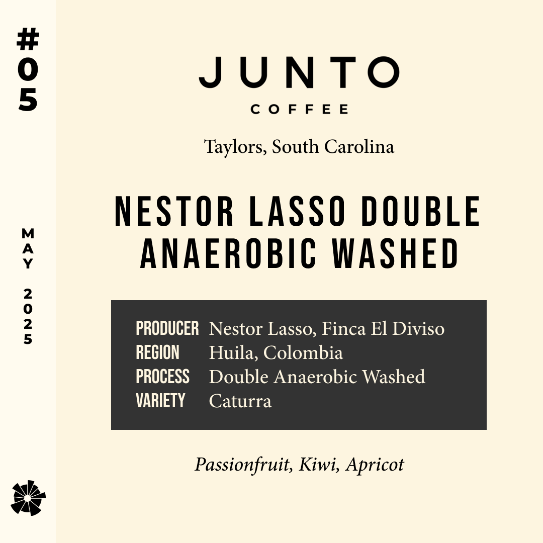 Volume 7, May 2025 — Junto (Taylors, South Carolina): Nestor Lasso Double Anaerobic Washed — feature #05