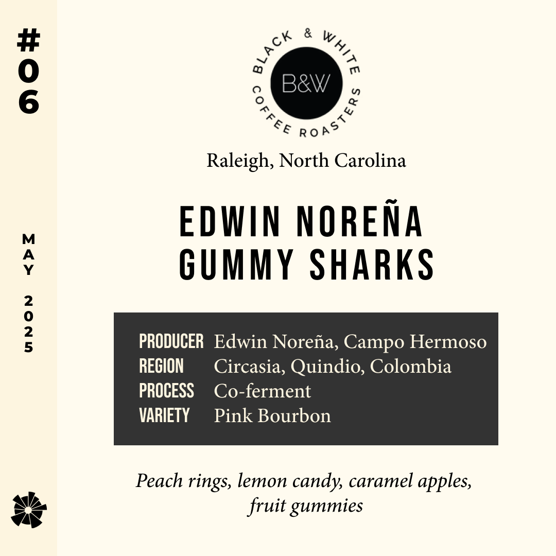 Volume 7, May 2025 — Black & White (Raleigh, North Carolina): Edwin Noreña - Gummy Sharks — feature #06