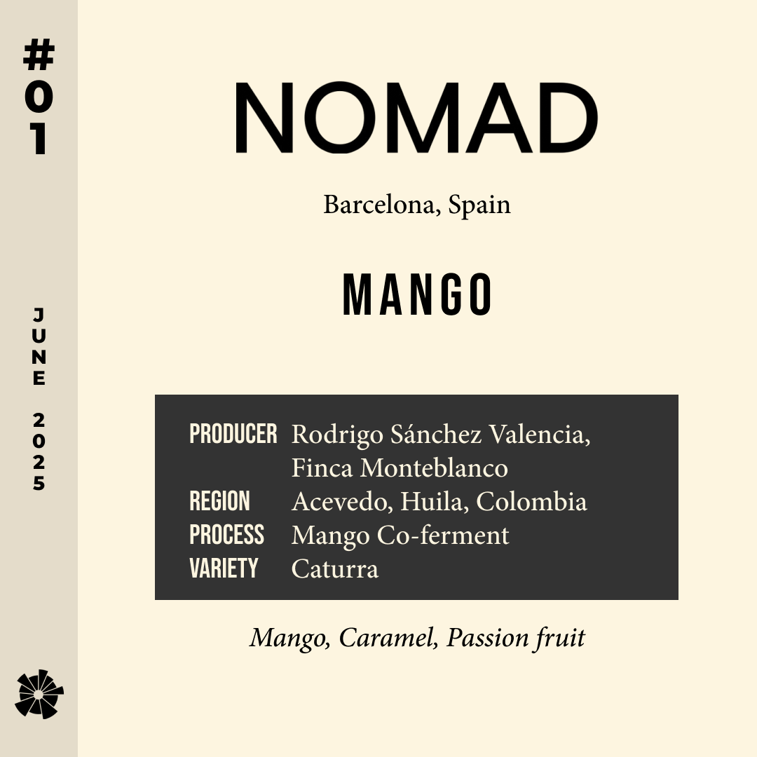Volume 8, June 2025 — Nomad (Barcelona, Spain): Mango — feature #01