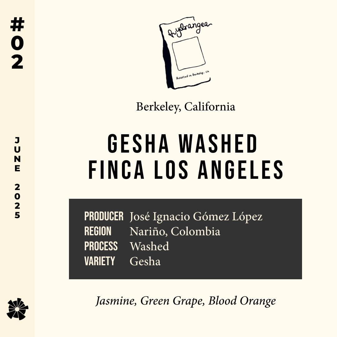 Volume 8, June 2025 — Hydrangea (Berkeley, California): Gesha Washed Finca Los Angeles — feature #02