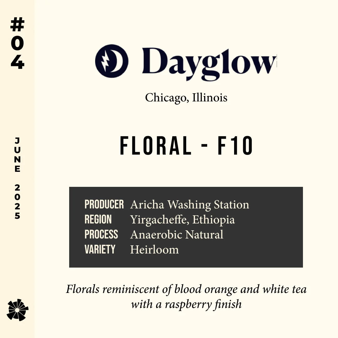 Volume 8, June 2025 — Dayglow (Chicago, Illinois): F10 — feature #04