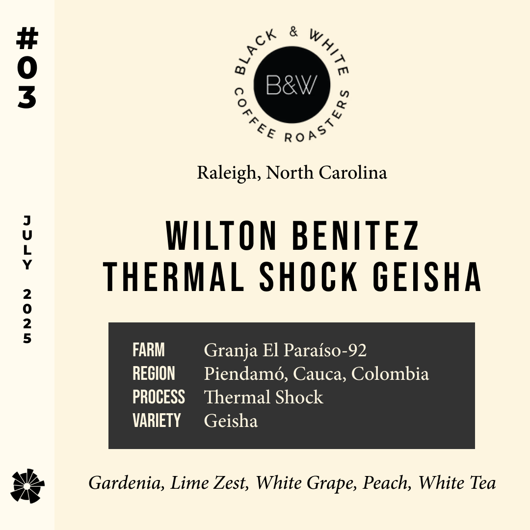 Volume 9, July 2025 — Black & White (Raleigh, North Carolina): Wilton Benitez - Thermal Shock Gesha — feature #03
