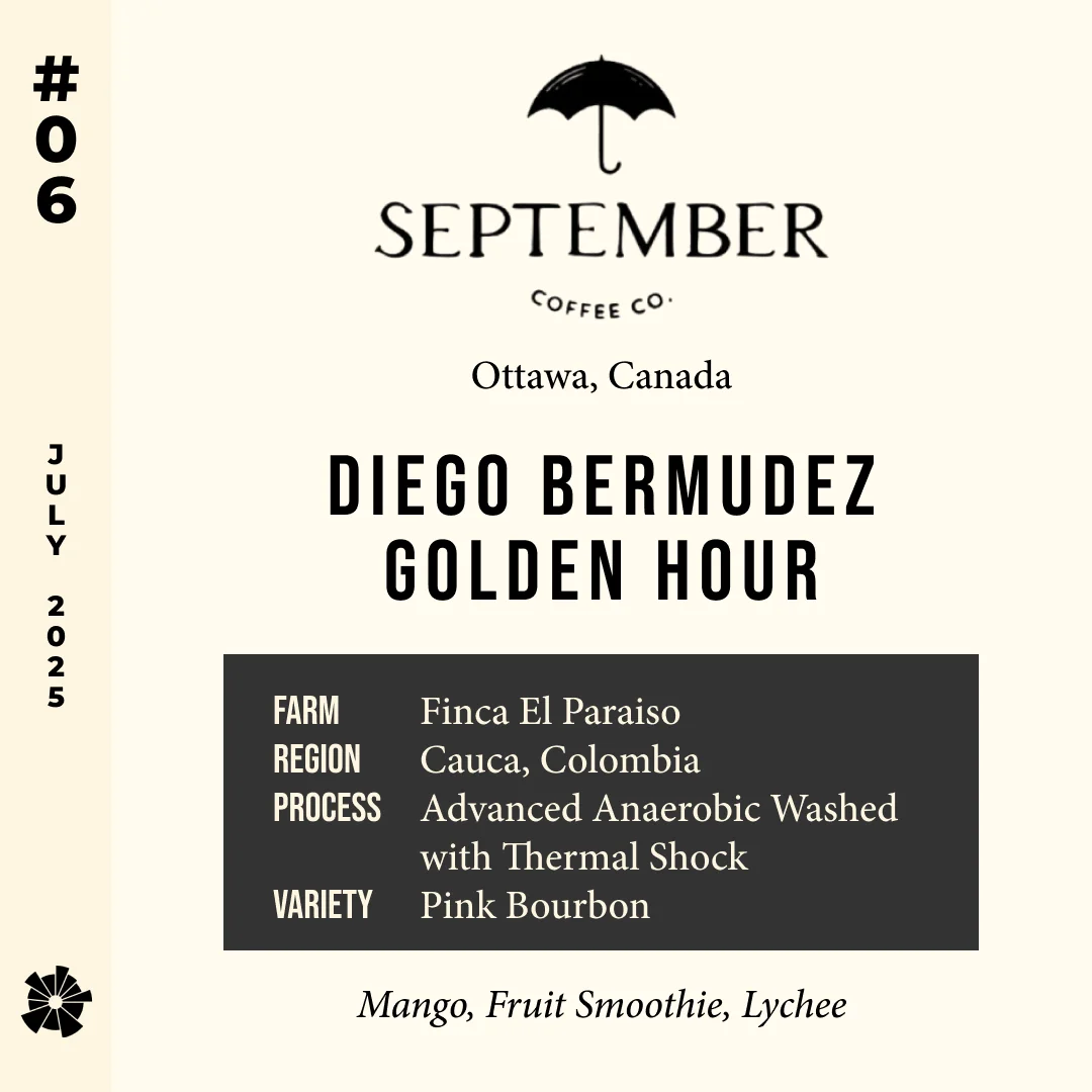 Volume 9, July 2025 — September (Ottawa, Canada): Diego Bermudez Golden Hour — feature #06