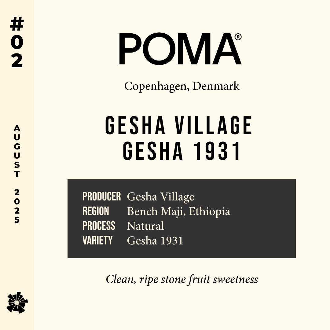 Volume 10, August 2025 — POMA (Copenhagen, Denmark): Gesha Village Gesha 1931 — feature #02