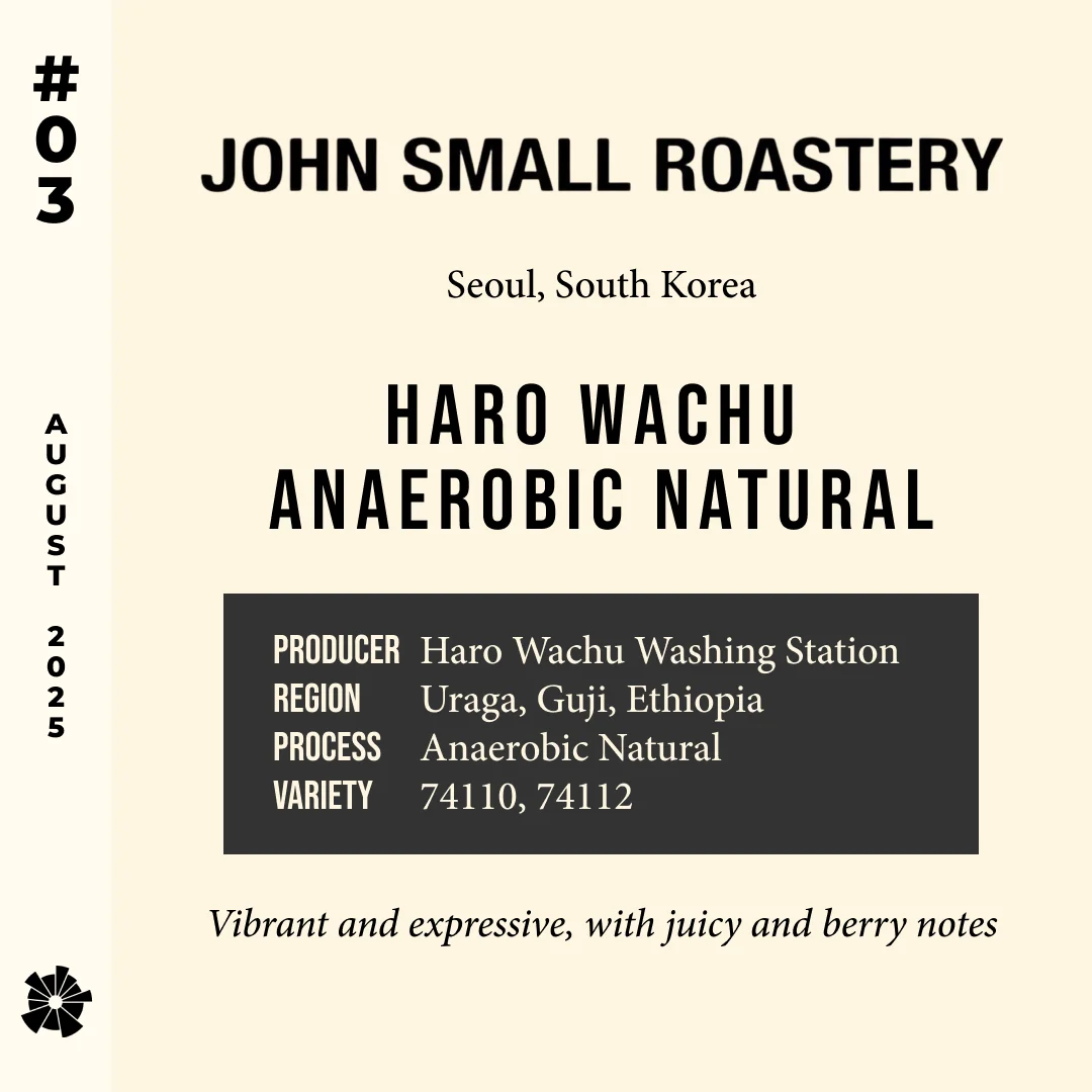 Volume 10, August 2025 — John Small Roastery (Seoul, South Korea): Hamasho Anaerobic Natural — feature #03