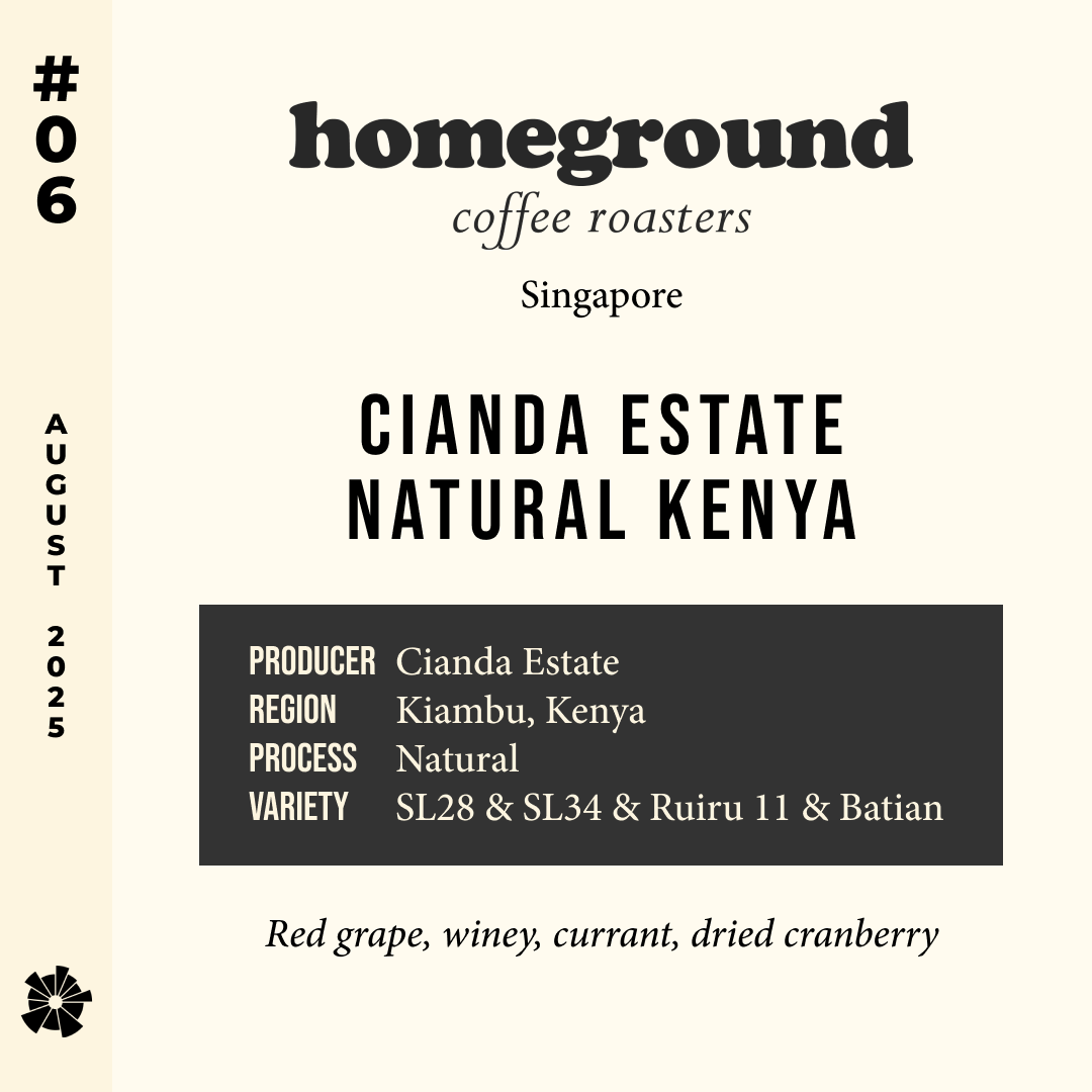 Volume 10, August 2025 — Homeground Coffee (Singapore): Cianda Estate Natural Kenya — feature #06