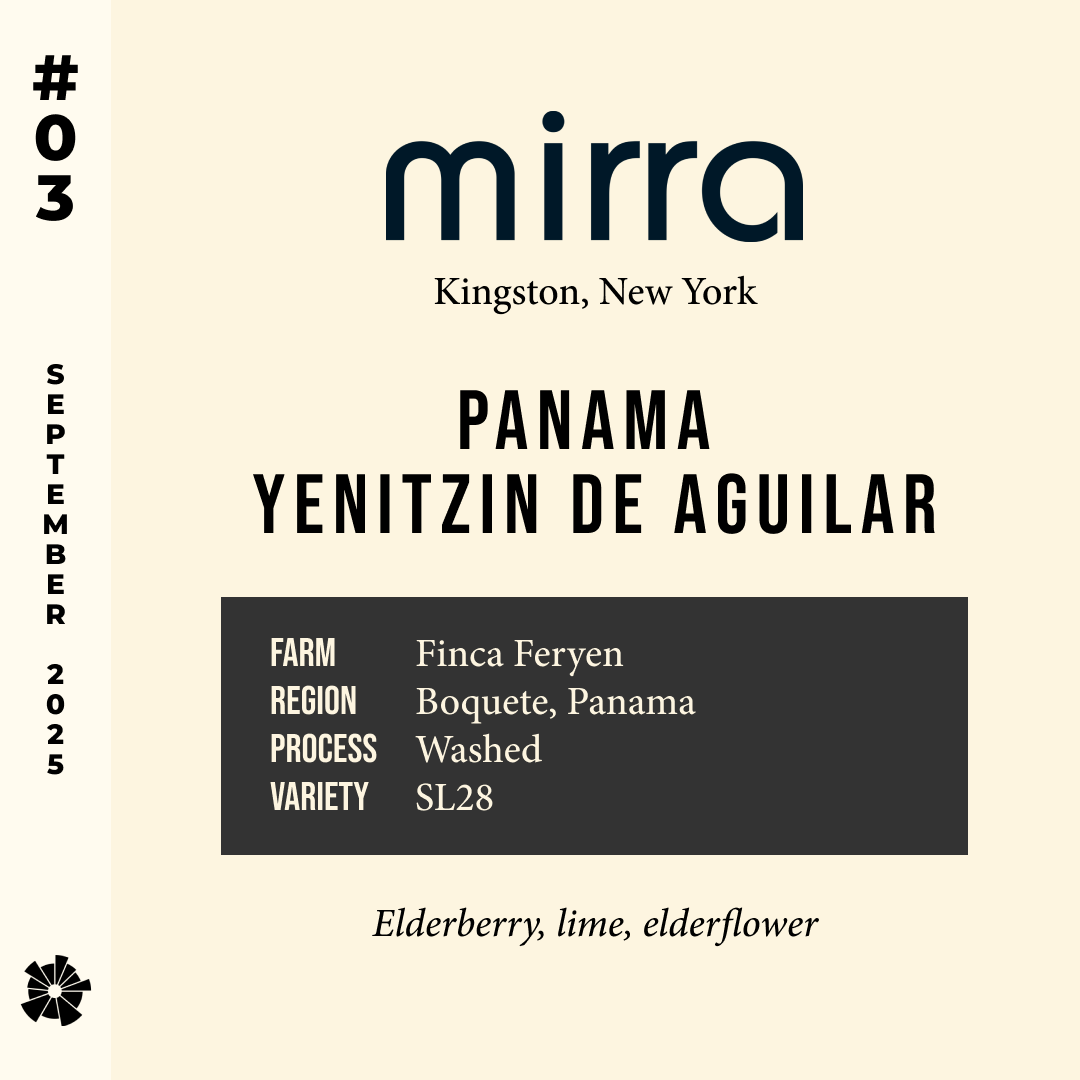 Volume 11, September 2025 — Mirra (Kingston, New York): Panama Yenitzin de Aguilar — feature #03
