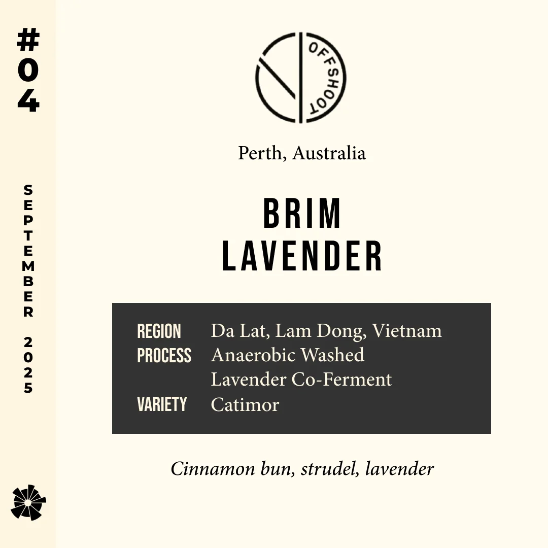Volume 11, September 2025 — Offshoot (Perth, Australia): Brim Lavender — feature #04