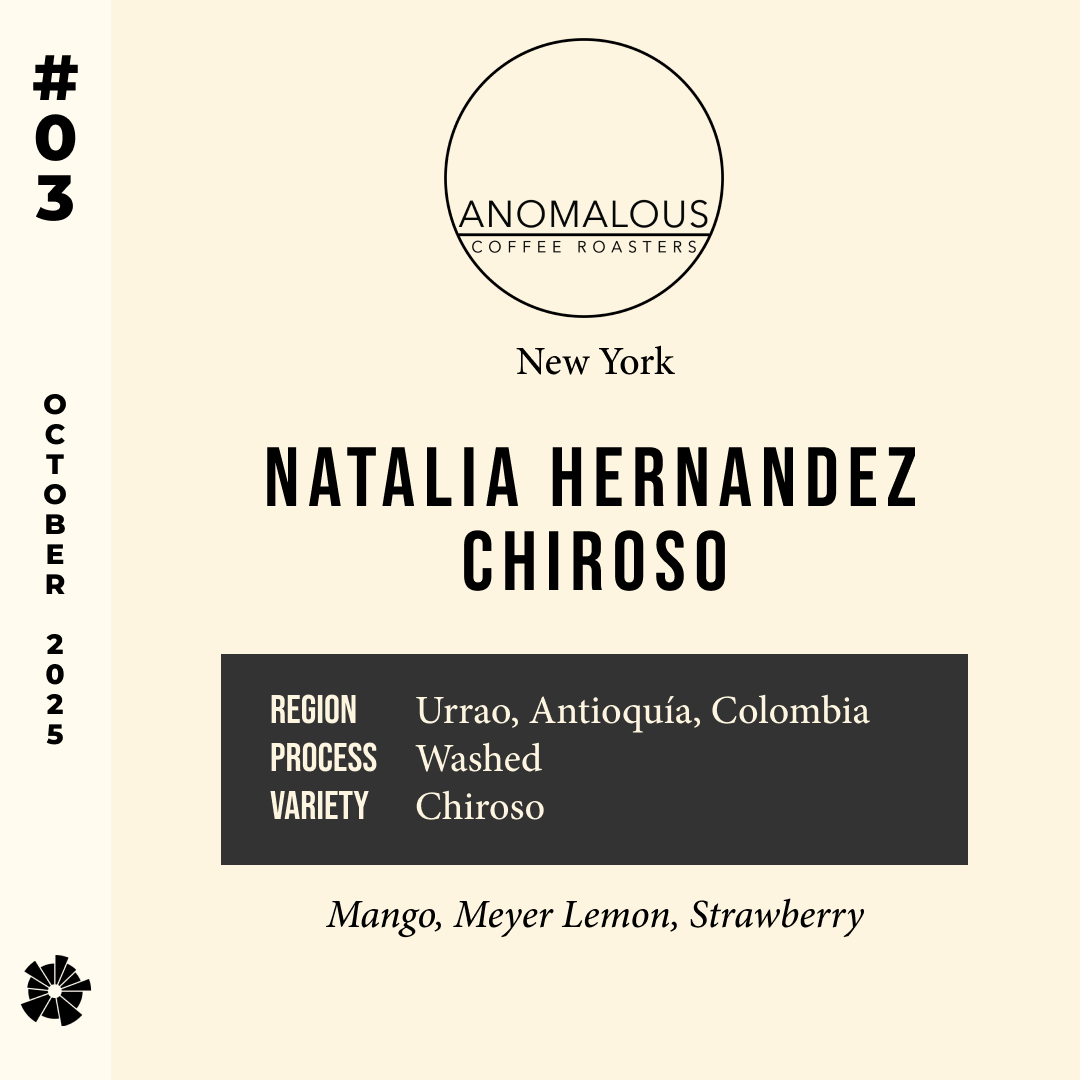 Volume 12, October 2025 — Anomalous (New York): Natalia Hernandez Chiroso — feature #03