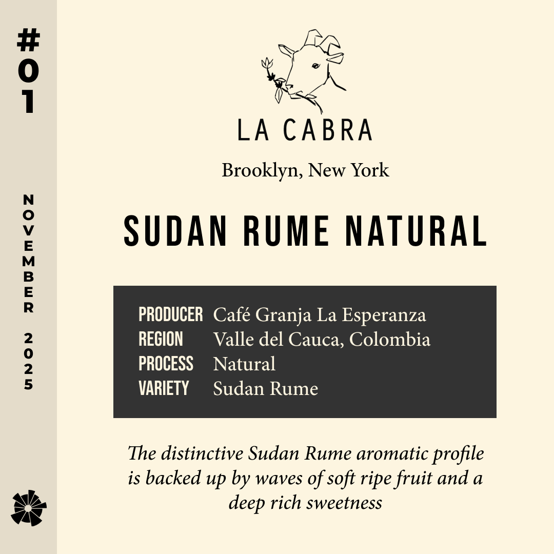 Volume 13, November 2025 — La Cabra (Brooklyn, New York): Sudan Rume Natural — feature #01