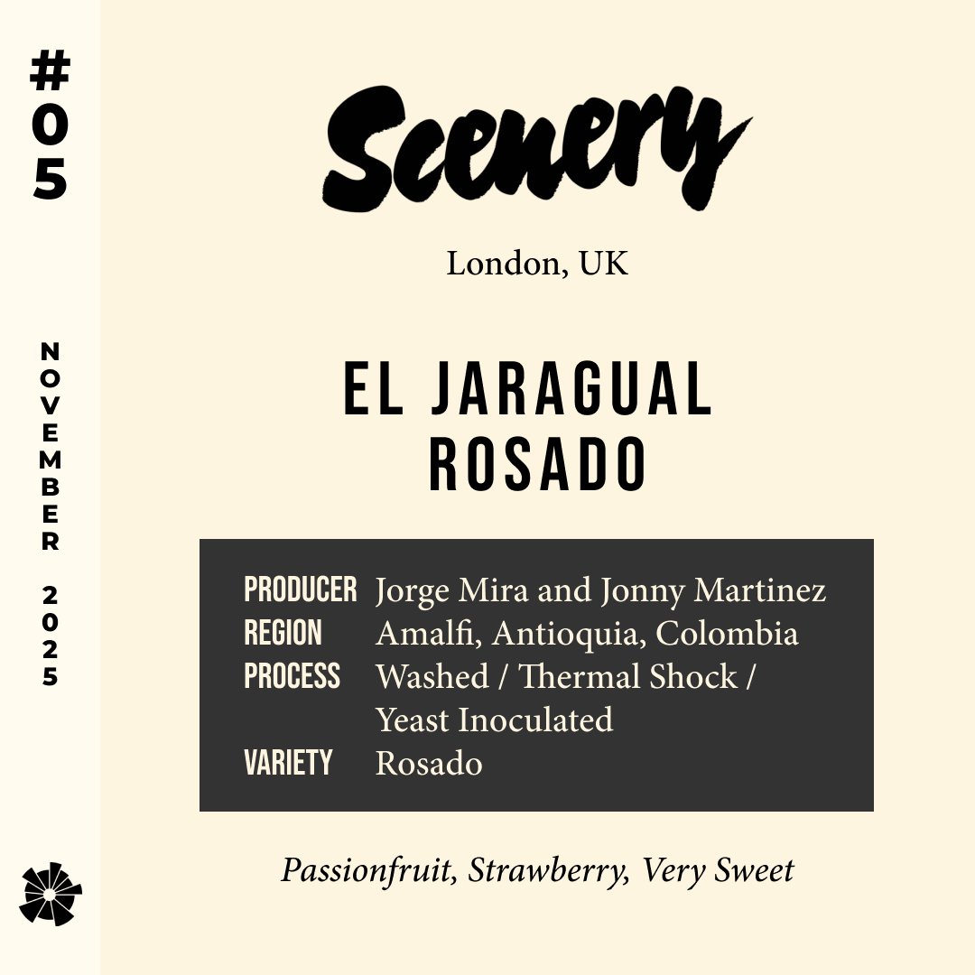 Volume 13, November 2025 — Scenery (London, UK): Colombia - El Jaragual Rosado — feature #05