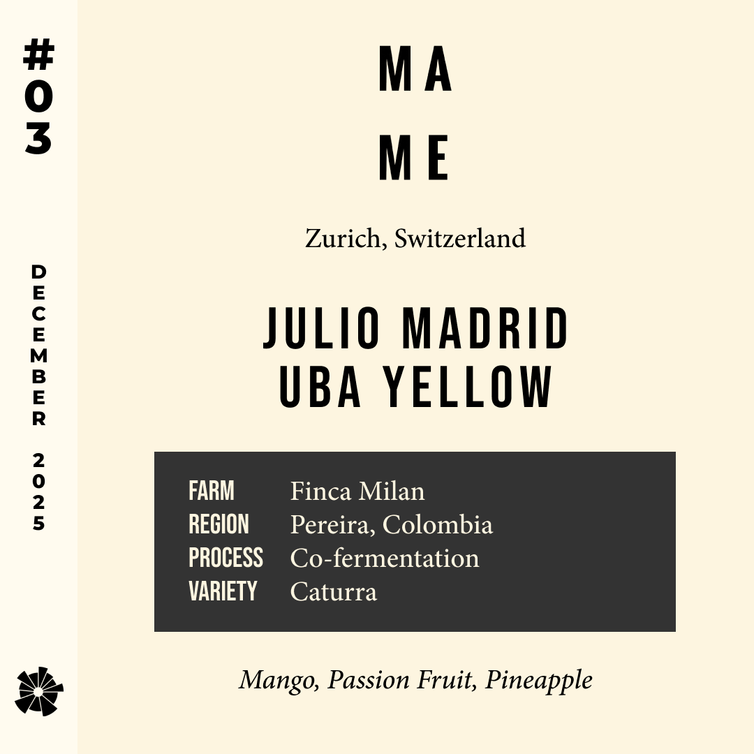 Volume 14, December 2025 — MAME (Zurich, Switzerland): Julio Madrid UBA Yellow — feature #03