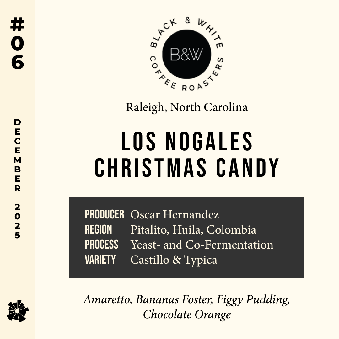 Volume 14, December 2025 — Black & White (Raleigh, North Carolina): Los Nogales Christmas Candy — feature #06