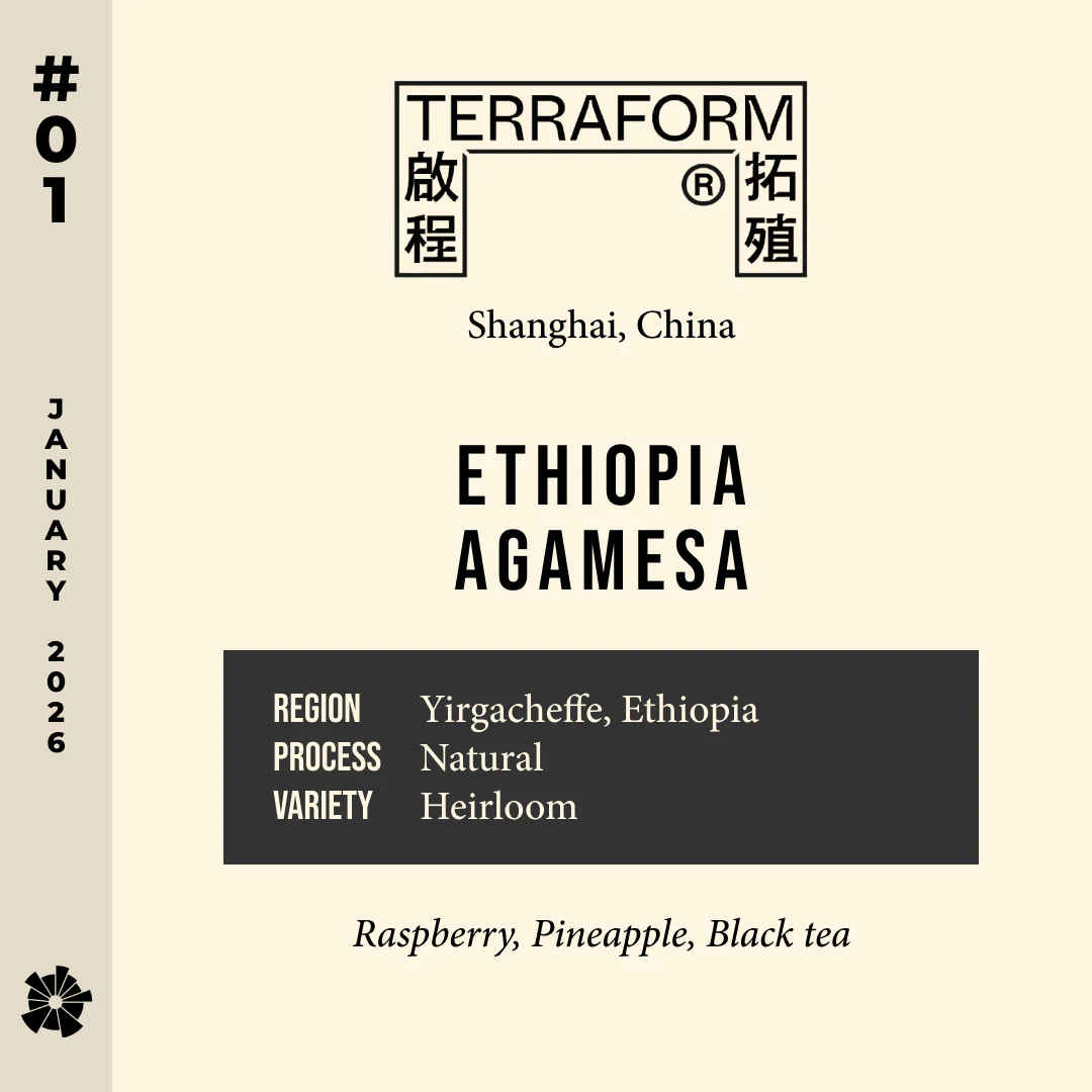 Volume 15, January 2026 — Terraform (Shanghai, China): Ethiopia Agamesa — feature #01