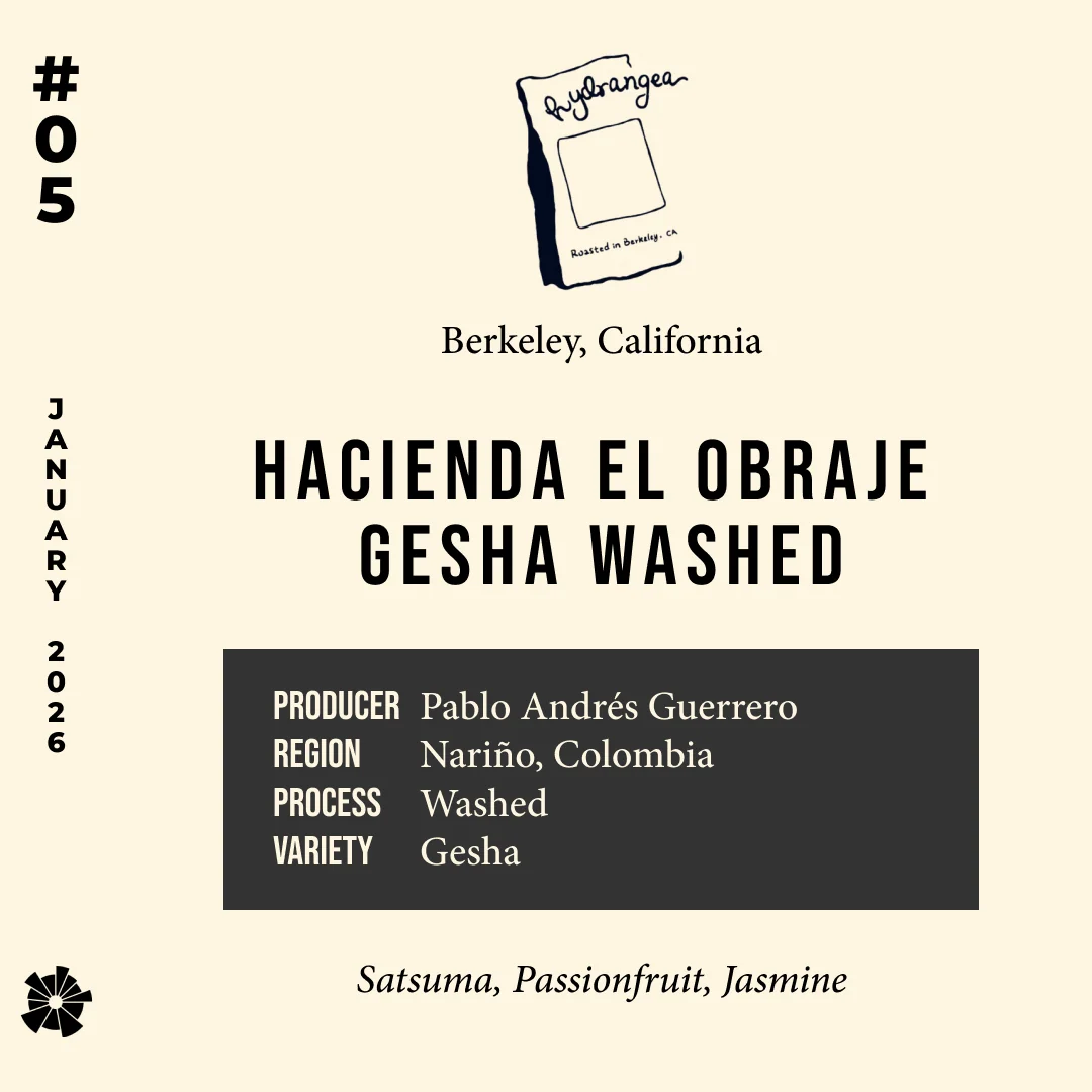 Volume 15, January 2026 — Hydrangea (Oakland, California): Gesha Washed Hacienda El Obraje — feature #05