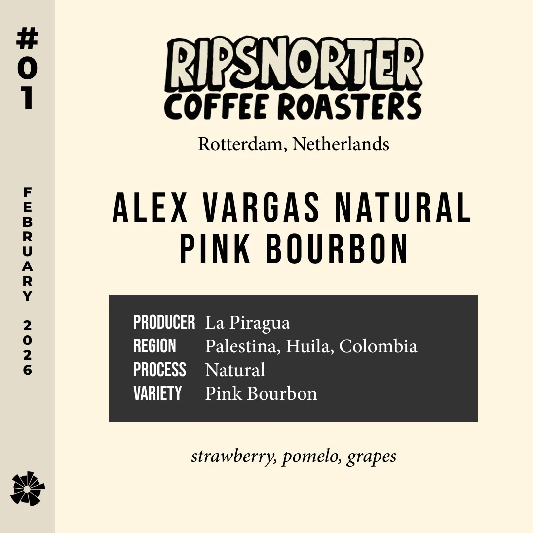 Volume 16, February 2026 — Ripsnorter (Rotterdam, Netherlands): Alex Vargas Natural Pink Bourbon — feature #01