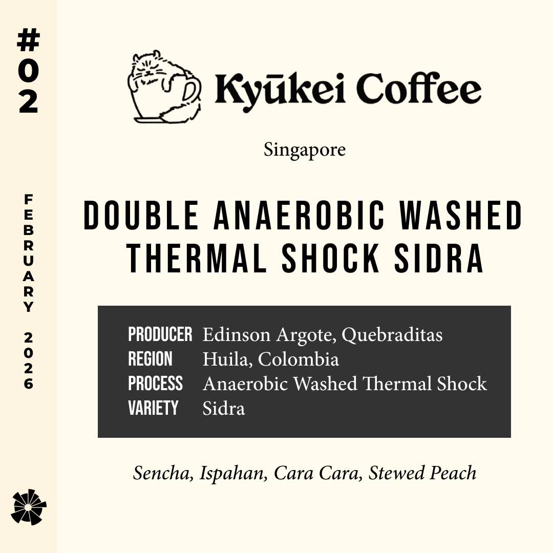 Volume 16, February 2026 — Kyuukei (Singapore): Double Anaerobic Washed Thermal Shock Sidra — feature #02