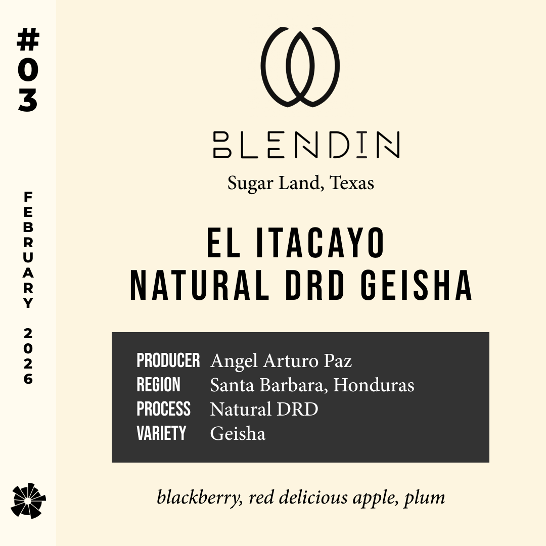 Volume 16, February 2026 — Blendin (Sugar Land, Texas): El Itacayo Natural DRD Geisha — feature #03