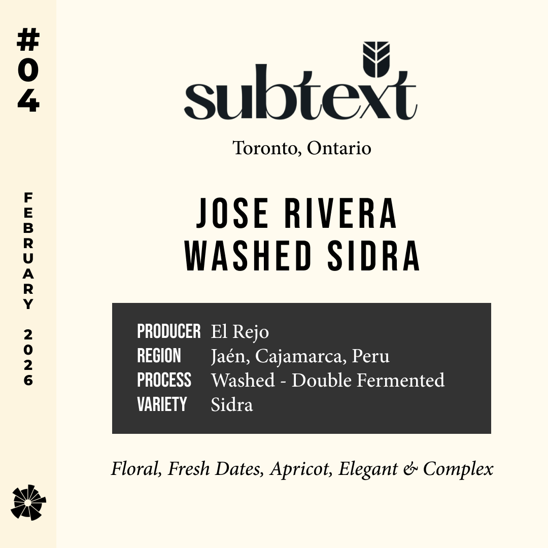 Volume 16, February 2026 — Subtext (Toronto, Ontario): David Flores Washed Sidra — feature #04