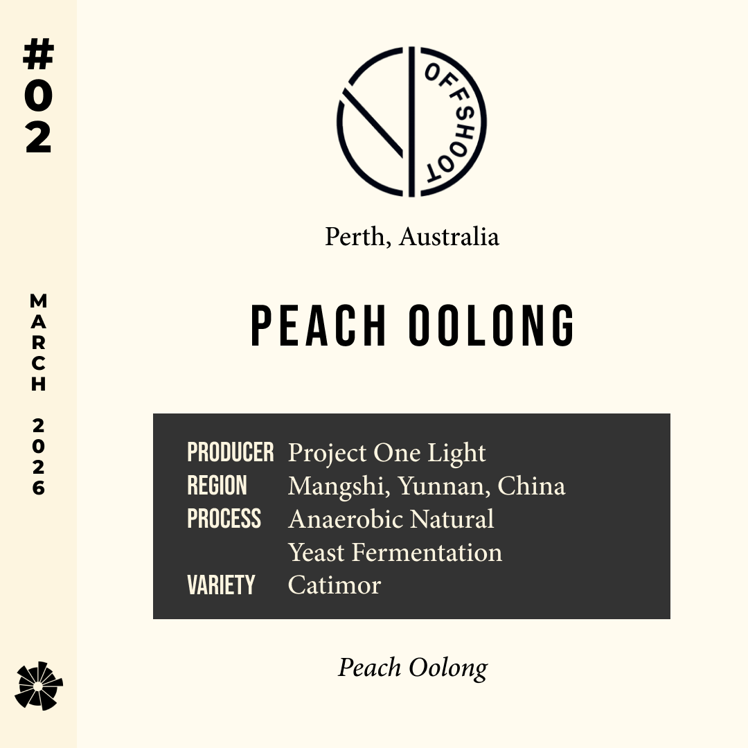 Volume 17, March 2026 — Offshoot (Perth, Australia): Peach Oolong — feature #02