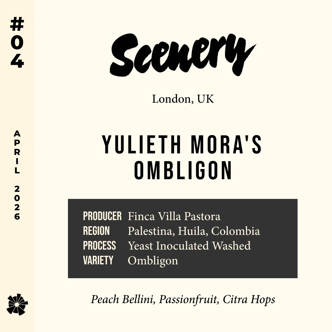Volume 18, April 2026 — Scenery (London, UK): Yulieth Mora's Ombligon — feature #04