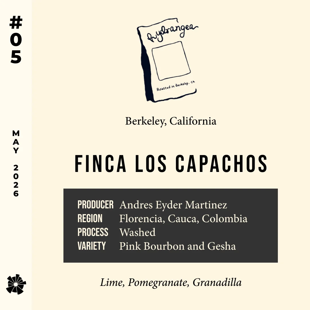 Volume 19, May 2026 — Hydrangea (Berkeley, California): Pink Bourbon + Gesha - Washed - Finca Los Capachos — feature #05