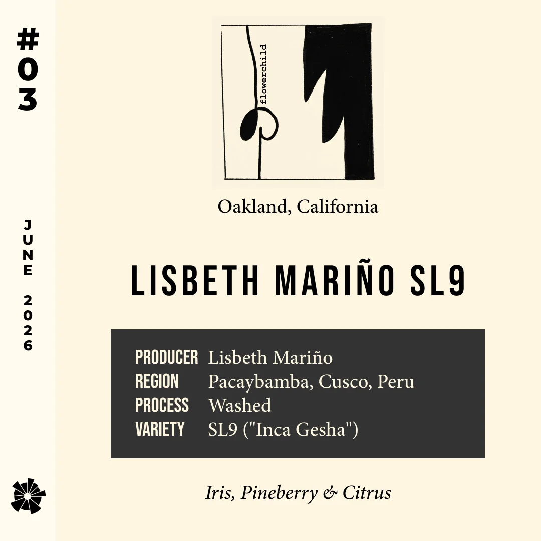 Volume 20, June 2026 — Flower Child (Oakland, California): Lisbeth Mariño SL9 — feature #03