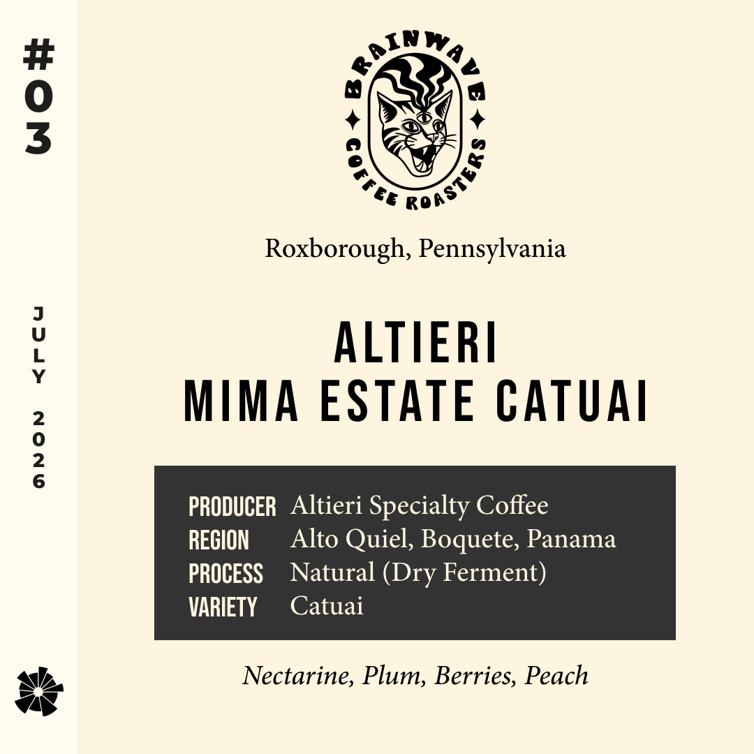 Volume 21, July 2026 — Brainwave (Roxborough, Pennsylvania): Altieri Mima Estate Catuai — feature #03