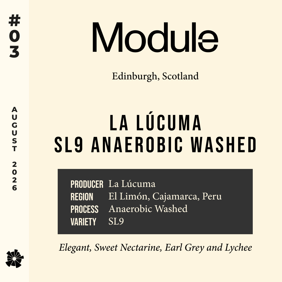 Volume 22, August 2026 — Module (Edinburgh, Scotland): La Lúcuma SL9 Anaerobic Washed — feature #03