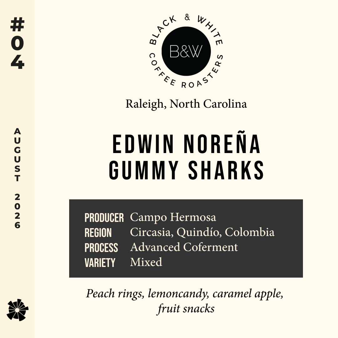 Volume 22, August 2026 — Black & White Coffee Roasters (Raleigh, North Carolina): Edwin Noreña Gummy Sharks — feature #04