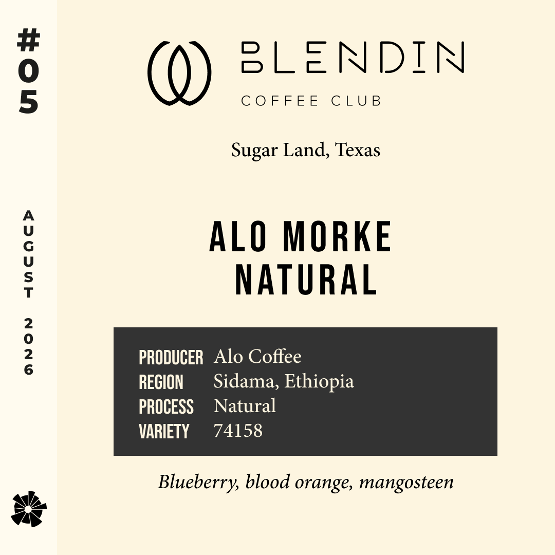 Volume 22, August 2026 — BlendIn Coffee Club (Sugar Land, Texas): Alo Morke Natural — feature #05