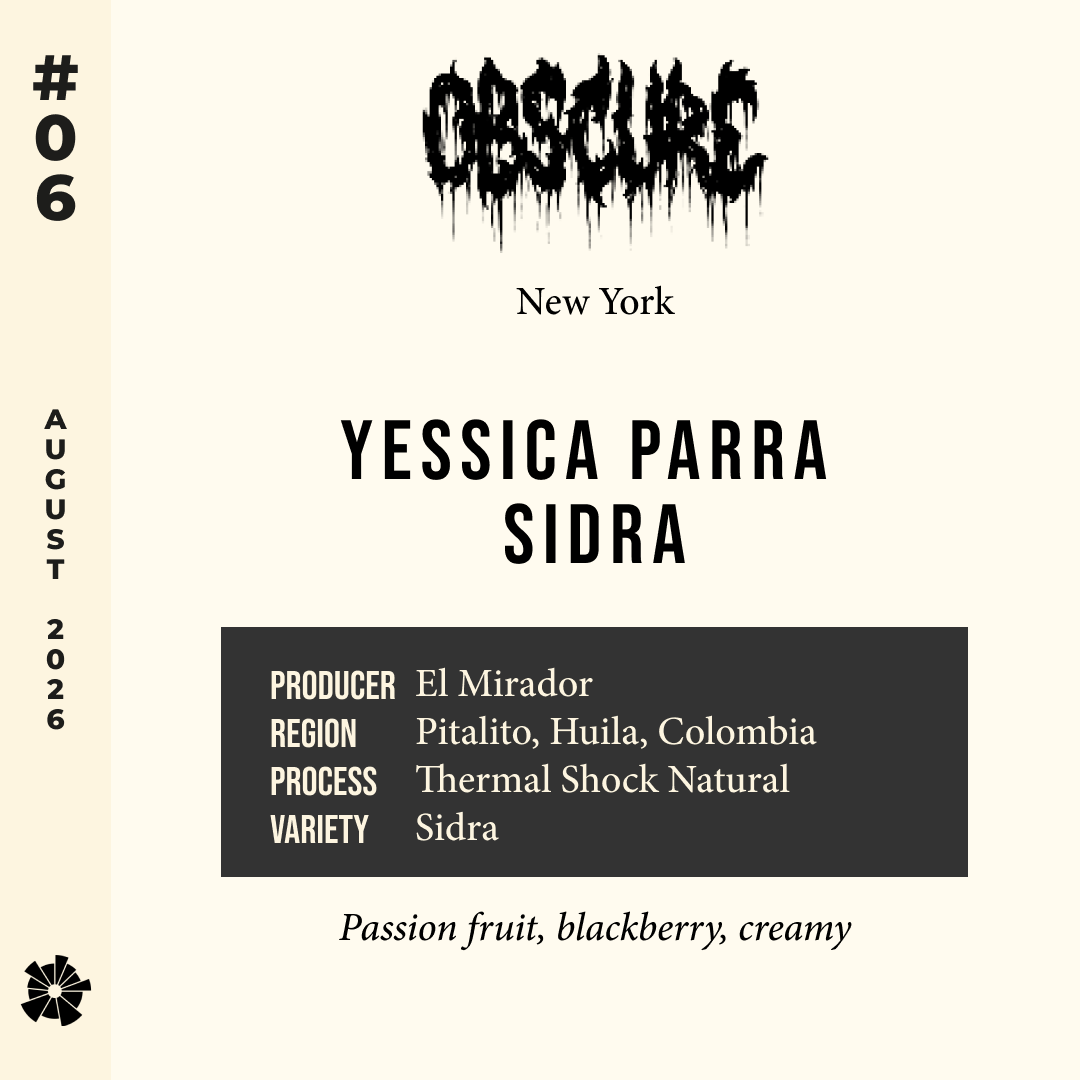 Volume 22, August 2026 — Obscure (New York): Yessica Parra Sidra — feature #06