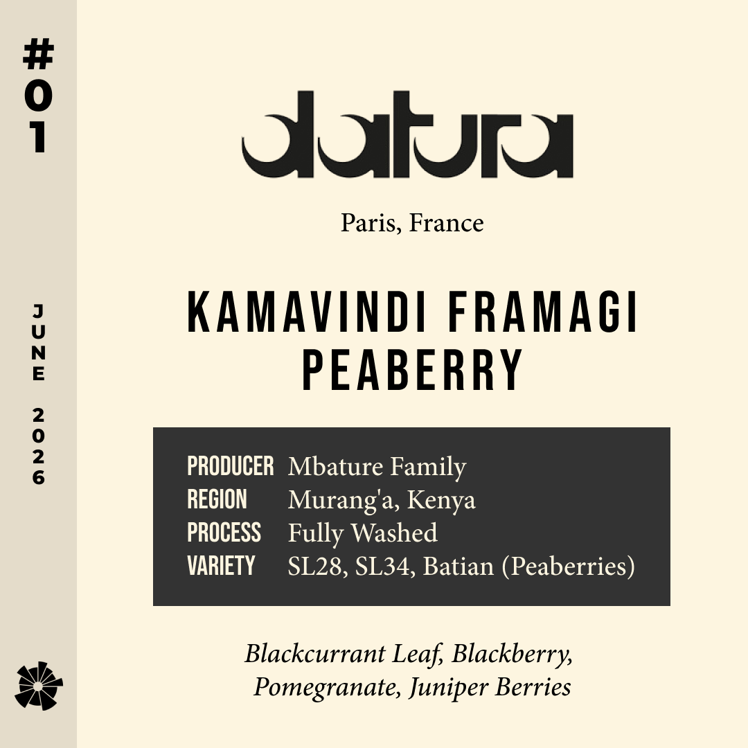 #01 Datura (Paris) — Kamavindi Framagi Peaberry